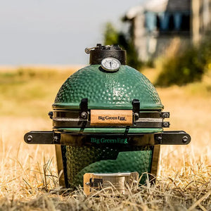 Big Green Egg Mini - Ferte Piscines : Pisciniste Aube - Troyes Aube